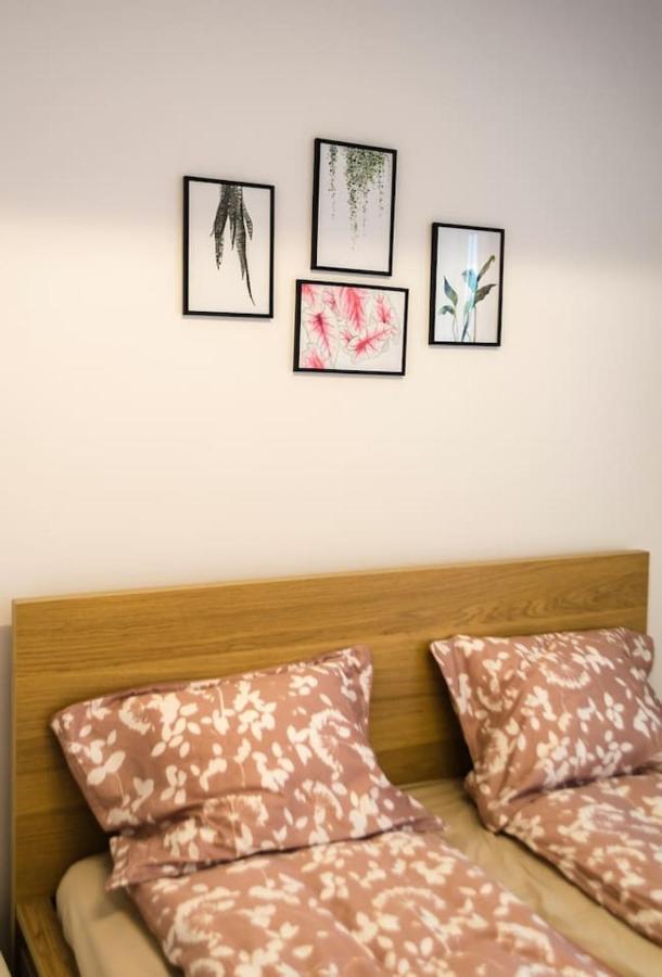 Paul'S Place. New Rooftop Apartment In Downtown Hermannstadt Exterior foto